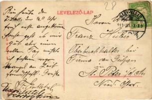 1910 Nagyvárad, Oradea; Szent László szobor, városháza, Takarékpénztár. W.L. Bp. . 271. / statue, to...