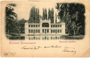 1899 (Vorläufer) Kolozsvár, Cluj; Korcsolya pavilon / ice skating hall, rink (EK)