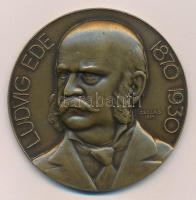 Csillag István (1881-1968) 1934. Ludvig Ede 1870-1930 egyoldalas bronz emlékérem (60mm) T:1-