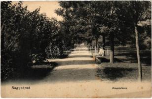 Püspökfürdő, Szentlászlófürdő, Baile 1 Mai (Nagyvárad, Oradea); park. Sebő Imre kiadása (Rb)