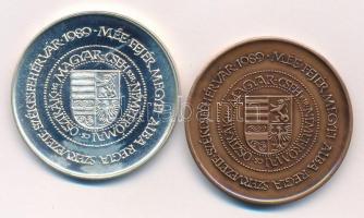 Fritz Mihály (1947-) 1989. "MÉE Székesfehérvár / Albert király" jelzett Ag és bronz emléké...