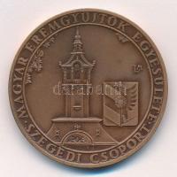 Lapis András (1942-) 1974 "MÉE Szegedi csoport - Juhász Gyula gyűjtőklub 1969-1974" bronz ...