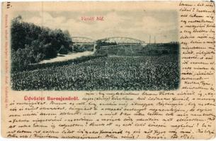 1900 Borosjenő, Borosineu, Ineu; Vasúti híd. Honisch udv. fényképész felvétele / railway bridge (Rb)