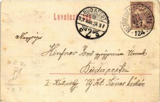 1901 Medgyesegyháza, Megyesegyháza (tévesen Aradmegye felirat); Evangélikus templom, Zuckermann Izid...