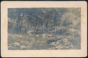 1904 Modor - Harmonia (Modra, Pozsony), Dolina - völgy keményhátú fotója, 8x13 cm/ 1904 Modra (Modor - Harmonia), Dolina - valley, board photo, 8x13 cm