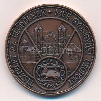 Szabó Imrefia Béla / Szabó Géza 2010. "Richter Gedeon a magyar gyógyszeripar megteremtője / Tis...