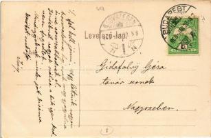 1908 Budapest IX. Székesfővárosi Szent István kórház a Gyáli úton