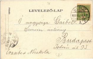 1905 Budapest XV. Rákospalota, Villasor. Gaibel Severin úrleánynak címezve