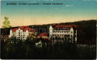 1916 Budakeszi, Erzsébet szanatórium (EK)
