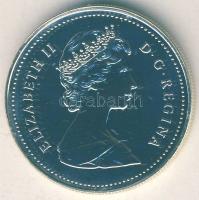 Kanada 1989. 1$ Ag "Mackenzie River" T:P eredeti speciális tokban, tanúsítvánnyal