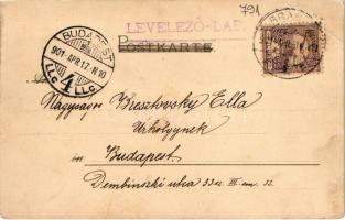 1901 Lady. Miessner & Buch Künstler-Postkarten Serie 1081. "Am Blütenhain" litho (EB)