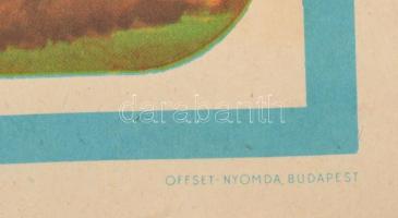 Pál György: Falusi lakodalom - Offset Nyomda, színes plakát feltekerve 82x59 cm