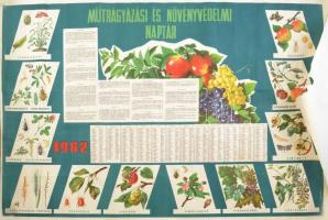 1962 Műtrágyázási és növényvédelmi naptár, Kossuth Nyomda, színes, feltekerve, szakadással. 100x70 cm
