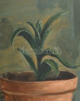 Nolipa István Pál (1907-1986): Csendélet Leanderrel, 1930. Olaj, karton. Jelzett, hátoldalán autográ...