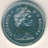 Kanada 1976. 1$ Ag "Parliament Library" T:P