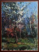 Bozsó János: Virágok, kertek, szenvedélyek. Bocsó Gyűjtemény - Kecskemét. Kecskemét, én., M-real Pet...