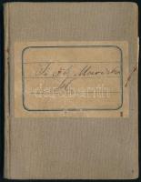 1917 Török Mária Orosházai munkás igazolványa sok bejegyzéssel, végzésekkel