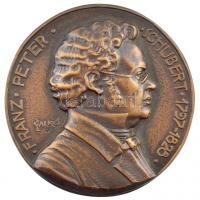 Solymári Valkó László (1909-1984) 1955. Franz Peter Schubert 1797-1828 egyoldalas öntött bronz plakett (87mm) T:1