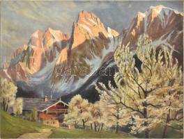 Olvashatatlan jelzéssel: Alpesi táj. Olaj, vászon, 80x59,5 cm