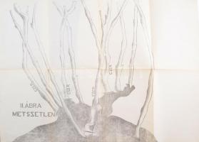 Kostka László új szőlőművelési albuma. Kecskemét, 1913, Fischl Dávid, 23 p. + 8 t. + 4 melléklet. Fe...