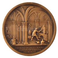 1973. HUNGAROKORR 73 BUDAPEST kétoldalas bronz emlékérem dísztokban (45mm) T:1- ph