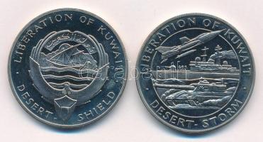 ENSZ 1991. "Sivatagi vihar / Kuwait felszabadulása" kétoldalas Cu-Ni emlékérem (38mm) + DN...
