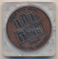 Fritz Mihály (1947-) 1998. "Eltörött a hegedűm... - Dankó Pista Emlékéért Alapítvány / Szöged h...