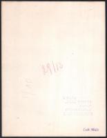 Csák Miklós (1933-2013): 3 db néprajzi témájú fotó, hátoldalukon feliratozva / pecséttel jelezve, 23...