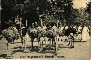 Carl Hagenbecks Somali-Truppe / human zoo, circus, Somali group and ostriches (EK)