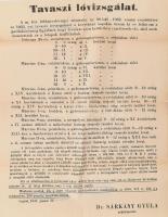 1933 Cegléd lóvizsgálat hirdetménye plakát 32x44 cm