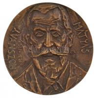Mladonyiczky Béla (1936-1995) 1968. Rozsnyay Mátyás 1831-1895 egyoldalas, öntött bronz plakett (91mm) T:1-