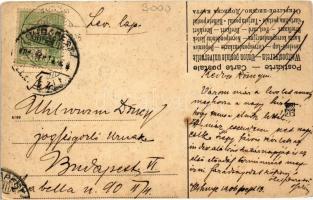 1906 Vihnye, Vihnyefürdő, Kúpele Vyhne; Felső park részlet / park (EK)