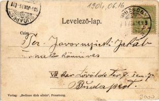 1904 Pozsony, Pressburg, Bratislava; M. k. állami kórház. Verlag "Bediene dich allein" / K...