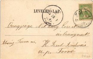 1905 Rozsnyó, Roznava; Vasas gyógyfürdő. Falvi Jenő kiadása / spa, bath