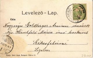 1906 Budakeszi, Fő utca, Rapolter István üzlete, látkép. Stern Jakab kiadása (kis szakadás / small t...