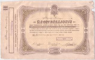 Budakalász 1914. Budakalászi hitelszövetkezet üzletrész-jegy 50K-ról, szelvényekkel T:III papírhiány