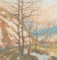 Hatvani Perlusz Gyula (1896-1944): Havas táj, 1943. Pasztell, papír, jelzett, üvegezett fakeretben, ...