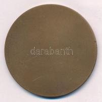 DN "Sárvár" egyoldalas bronz emlékérem (60mm) T:1-