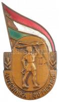 ~1950-1960. A Technika Ifjú Mestere II zománcozott bronz jelvény (48x28mm) T:2,2- zománchiba