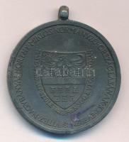 1940. "Erdélyi részek felszabadulásának emlékére" Zn emlékérem mellszalag nélkül. Szign.:B...