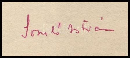 1969 Somló István (1902-1971) színművész autográf aláírással ellátott levele Sívó Emil szerzőnek, me...