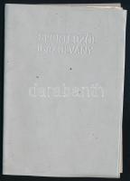 1978 Fényképes sportedzői igazolvány úszóedző részére