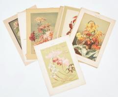 cca 1900-1910 10 db virágokat ábrázoló, akvarellek után készült, részben szecessziós nyomat a Dekorative Vorbilder sorozatból papíron. Helyenként lapszéli kisebb szakadásokkal. Lapméret: 35x25 cm