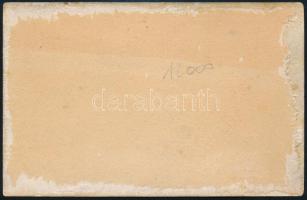 1916 SMS Kőrös, Kőrös-osztályú monitor, legénysége Fotólap, hátulja sérült / SMS Kőrös, Kőrös-class ...