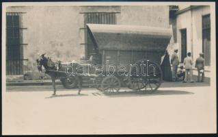 cca 1920-1930 Szamárfogat Havanában, hátoldalán feliratozott fotó, 14,5x9 cm