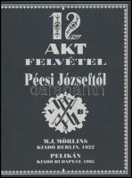 12 akt felvétel Pécsi Józseftől. Berlin, 1922, Mörlins. REPRINT! Kiadói papírkötés, jó állapotban.