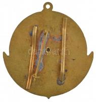 1975. "Flottilla 30 év, 1945-1975" zománcozott fém jelvény füllel T:2
Hungary 1975. &quot...