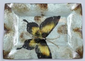 Tűzzománc pillangós fém kínáló tál. 24x31 cm