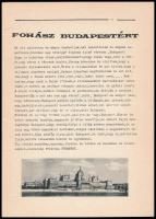 Koldusdiák. 1956 10 éve. Decenniumi különszám. Kiadják a Burg Kastl-i Magyar Gimnázium felsőosztályo...