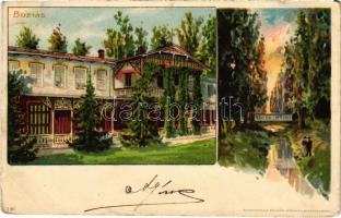 1899 (Vorläufer) Buziás, fürdő szálló, híd / spa hotel, bridge. Kunstanstalt Kosmos 146. litho (Rb)